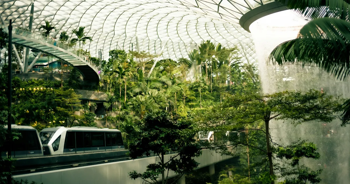 Como o Mercado de Luxo pode gerar impacto positivo no meio ambiente