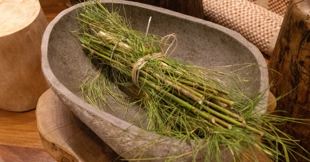 Foto de bambus verdes em uma tigela decorativa