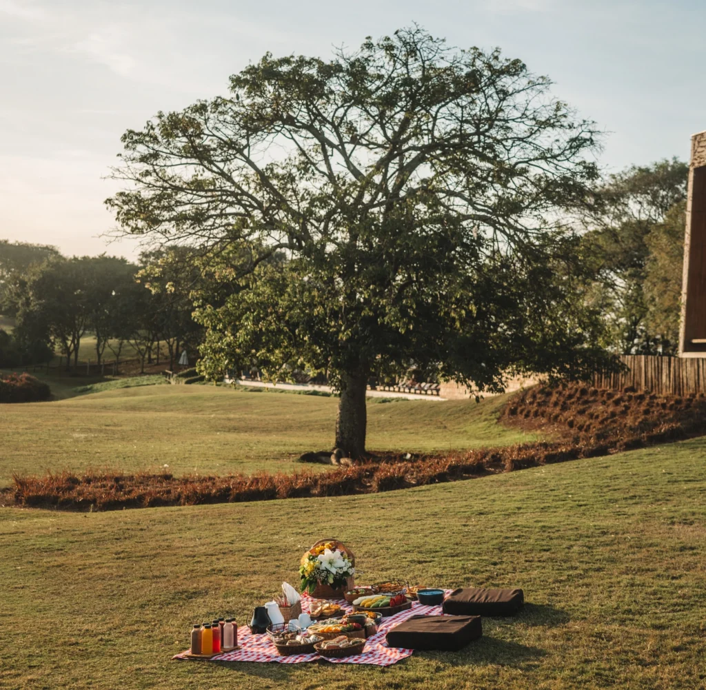 Foto de uma paisagem com uma árvore ao fundo e um tapete com coisas para um piquenique